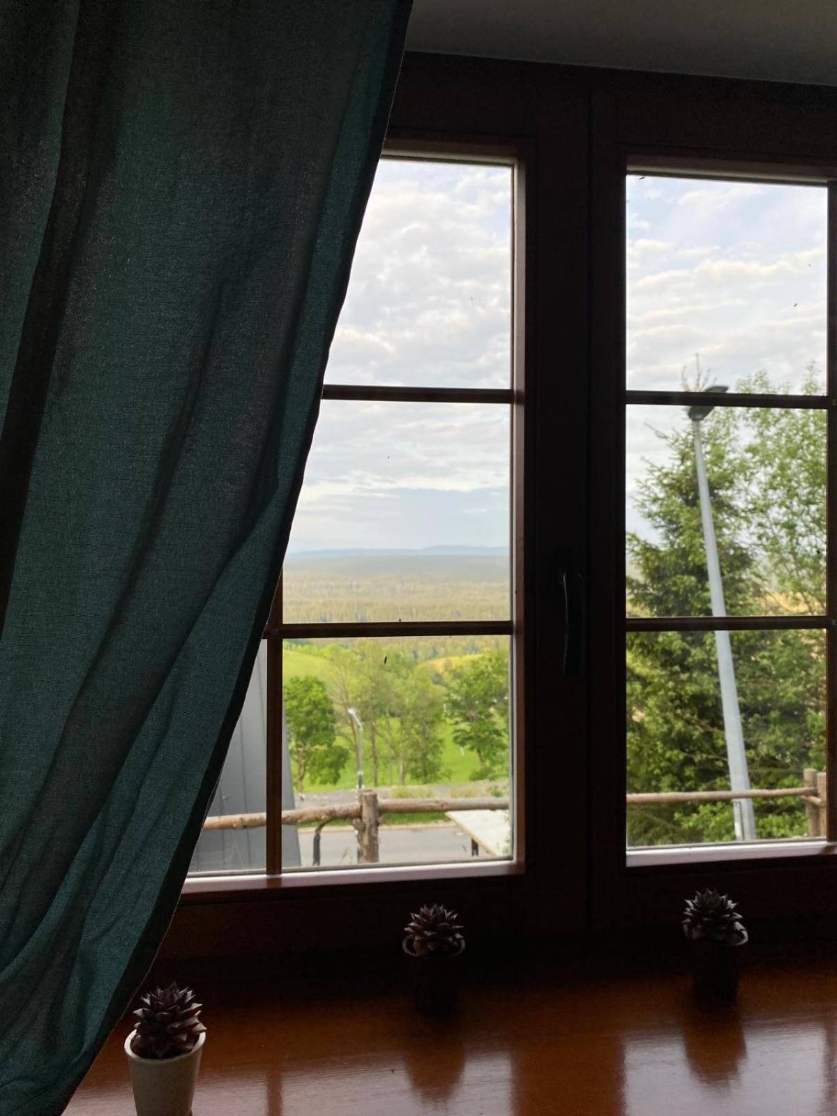 Pod Orlica Apartment Дужники Здрой Екстериор снимка