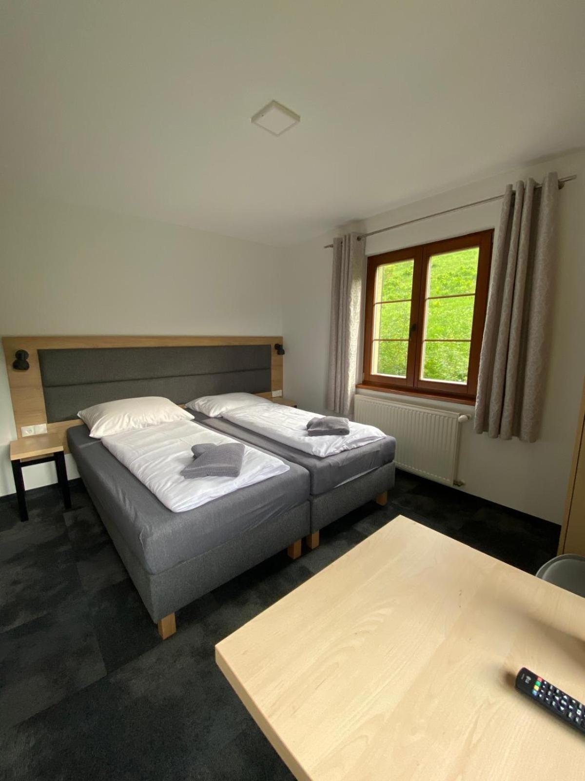 Pod Orlica Apartment Дужники Здрой Стая снимка