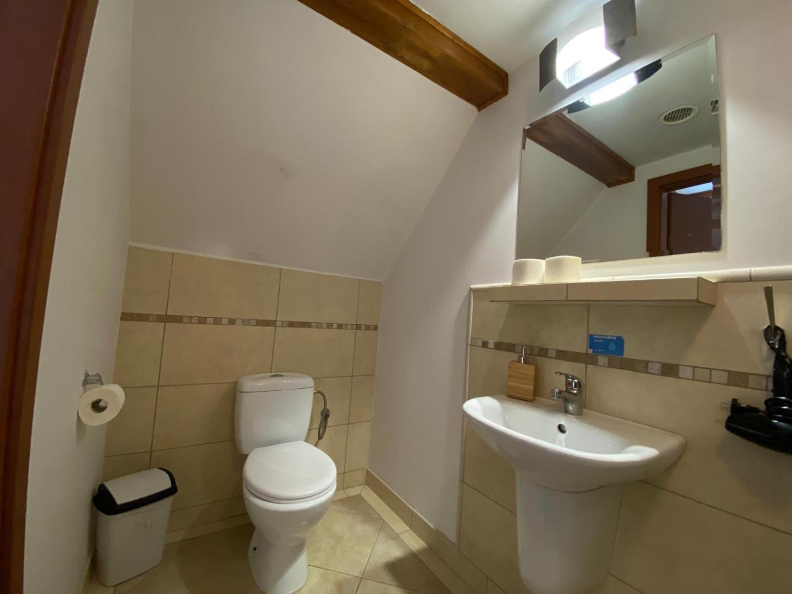Pod Orlica Apartment Дужники Здрой Стая снимка