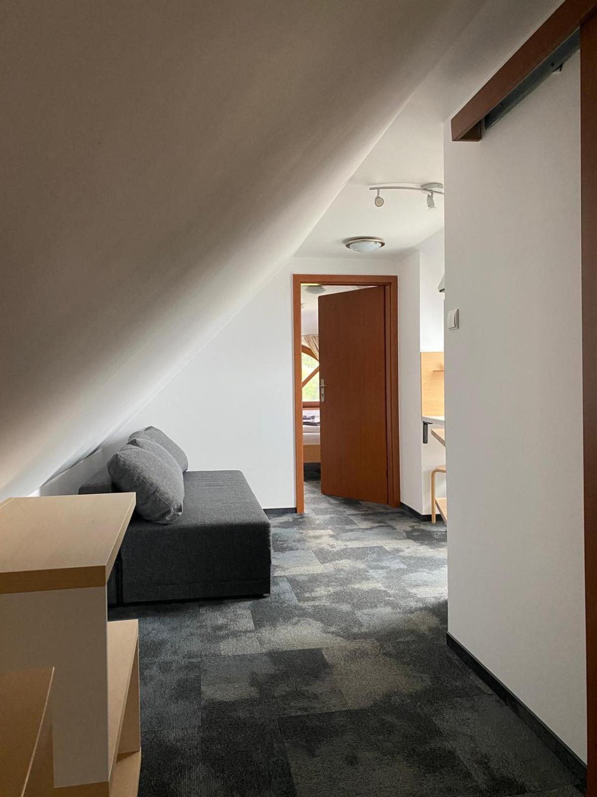 Pod Orlica Apartment Дужники Здрой Екстериор снимка